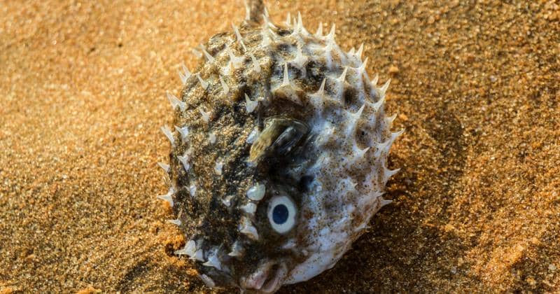 Pexels/Abhilash Balakrishnan